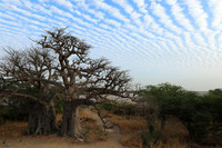 Lanscape near the lagoon