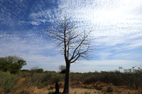 Lanscape near the lagoon
