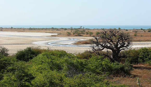 Lagoon