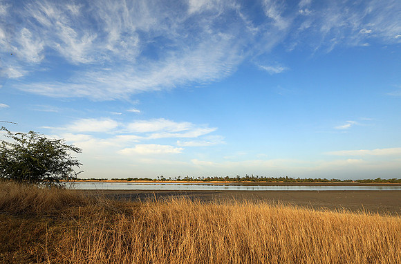 Lanscape near the lagoon