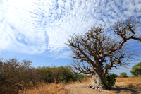 Lanscape near the lagoon