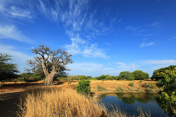 Lanscape near the lagoon