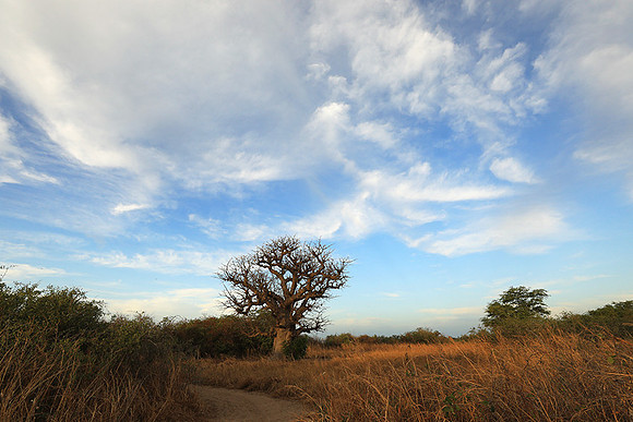 Lanscape near the lagoon