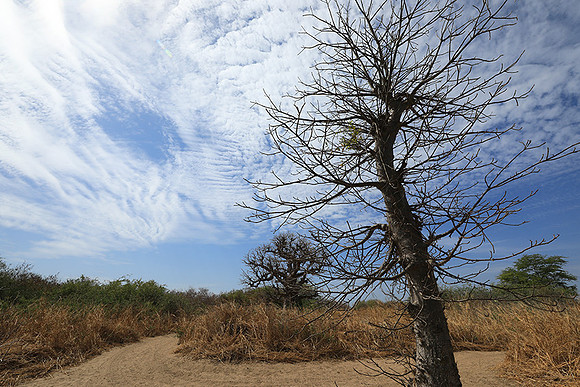 Lanscape near the lagoon