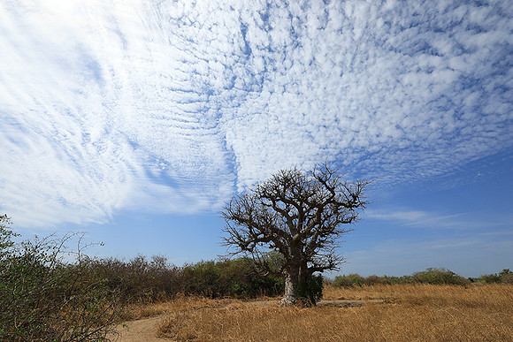 Lanscape near the lagoon