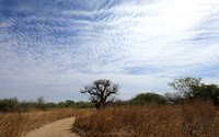 Lanscape near the lagoon