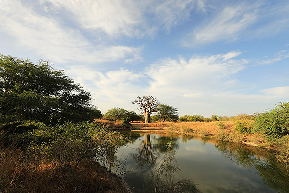 Lanscape near the lagoon