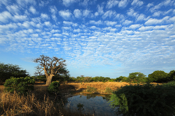 Lanscape near the lagoon