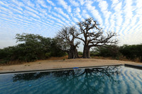 Lanscape near the lagoon