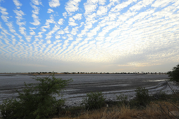 Lanscape near the lagoon