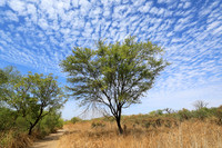 Lanscape near the lagoon