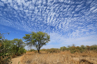 Lanscape near the lagoon