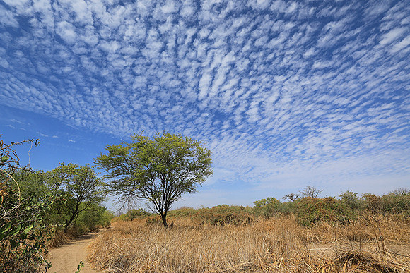 Lanscape near the lagoon