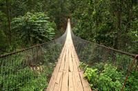 Suspension bridge