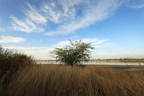 Lanscape near the lagoon