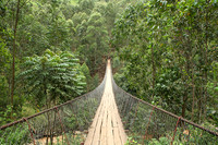 Suspension bridge