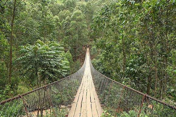 Suspension bridge