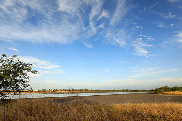Lanscape near the lagoon
