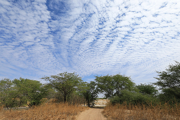 Lanscape near the lagoon