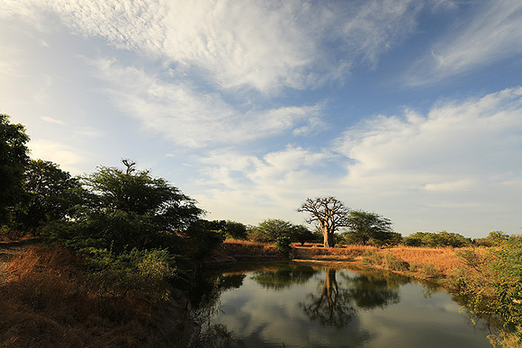 Lanscape near the lagoon