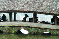 Pagoda Thay