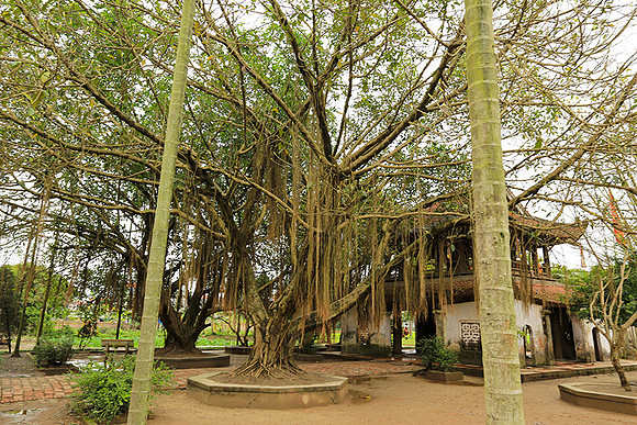 Pagoda But Thap