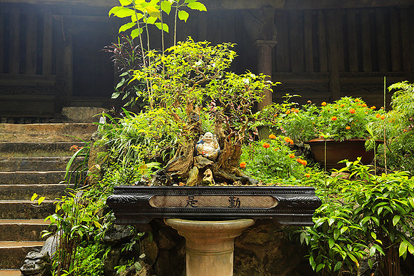 Pagoda Thay