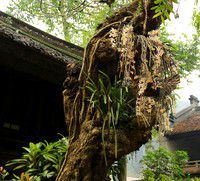 Pagoda Thay