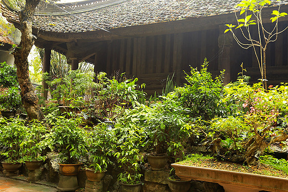 Pagoda Thay