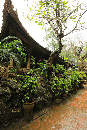 Pagoda Thay