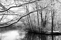 Pond in winter - east of France