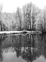 Pond in winter - east of France