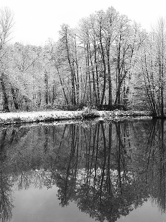 Pond in winter - east of France