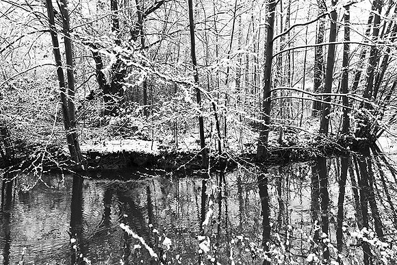 Pond in winter - east of France