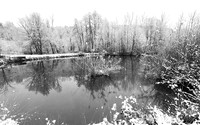 Pond in winter - east of France