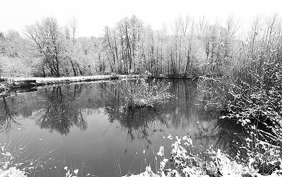Pond in winter - east of France