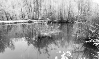 Pond in winter - east of France