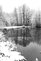 Pond in winter - east of France