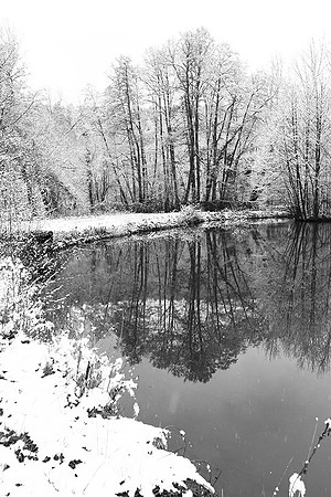 Pond in winter - east of France