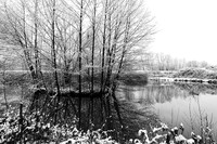 Pond in winter - east of France