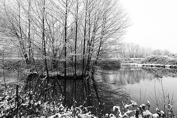 Pond in winter - east of France