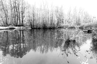 Pond in winter - east of France