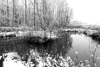 Pond in winter - east of France