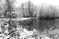 Pond in winter - east of France