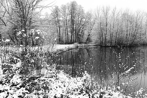 Pond in winter - east of France