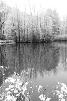 Pond in winter - east of France