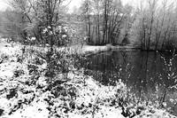 Pond in winter - east of France