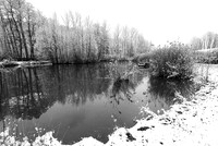 Pond in winter - east of France