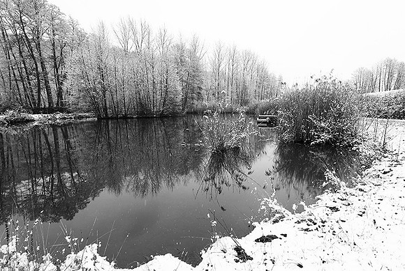Pond in winter - east of France