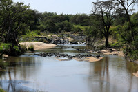 Serengeti